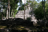 Canon EOS DIGITAL REBEL, 2007:12:31 11:56:38 -- 1/80 sec, f/5.6.  No Flash.3072x2048 Off.