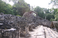 Canon EOS DIGITAL REBEL, 2007:12:31 12:49:32 -- 1/60 sec, f/4.5.  No Flash.3072x2048 Off.