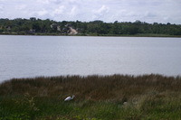 Canon EOS DIGITAL REBEL, 2007:12:31 13:10:51 -- 1/200 sec, f/8.0.  No Flash.3072x2048 Off.