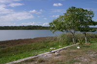 Canon EOS DIGITAL REBEL, 2007:12:31 13:11:07 -- 1/160 sec, f/8.0.  No Flash.3072x2048 Off.