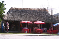 Canon EOS DIGITAL REBEL, 2007:12:31 13:31:24 -- 1/100 sec, f/6.3.  No Flash.3072x2048 Off.