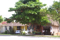 Canon EOS DIGITAL REBEL, 2007:12:31 13:31:30 -- 1/60 sec, f/5.0.  No Flash.3072x2048 Off.