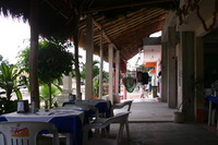 Canon EOS DIGITAL REBEL, 2007:12:31 13:56:48 -- 1/60 sec, f/5.0.  No Flash.3072x2048 Off.