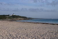 Canon EOS DIGITAL REBEL, 2008:01:01 09:27:59 -- 1/160 sec, f/8.0.  No Flash.3072x2048 Off.