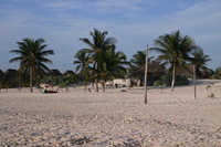 Canon EOS DIGITAL REBEL, 2008:01:01 09:30:52 -- 1/160 sec, f/8.0.  No Flash.3072x2048 Off.