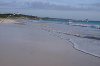 Canon EOS DIGITAL REBEL, 2008:01:01 09:32:48 -- 1/160 sec, f/8.0.  No Flash.3072x2048 Off.