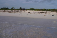 Canon EOS DIGITAL REBEL, 2008:01:01 09:38:37 -- 1/160 sec, f/8.0.  No Flash.3072x2048 Off.