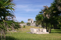 Canon EOS DIGITAL REBEL, 2008:01:01 10:25:36 -- 1/125 sec, f/7.1.  No Flash.3072x2048 Off.