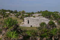 Canon EOS DIGITAL REBEL, 2008:01:01 10:30:43 -- 1/200 sec, f/8.0.  No Flash.3072x2048 Off.