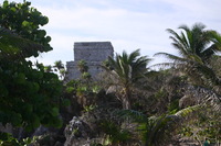 Canon EOS DIGITAL REBEL, 2008:01:01 10:32:45 -- 1/125 sec, f/7.1.  No Flash.3072x2048 Off.