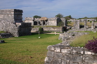 Canon EOS DIGITAL REBEL, 2008:01:01 10:41:13 -- 1/160 sec, f/8.0.  No Flash.3072x2048 Off.