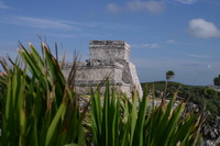 Canon EOS DIGITAL REBEL, 2008:01:01 10:55:01 -- 1/200 sec, f/8.0.  No Flash.3072x2048 Off.