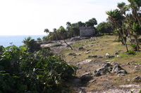 Canon EOS DIGITAL REBEL, 2008:01:01 10:56:26 -- 1/125 sec, f/7.1.  No Flash.3072x2048 Off.