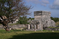 Canon EOS DIGITAL REBEL, 2008:01:01 11:10:47 -- 1/200 sec, f/9.0.  No Flash.3072x2048 Off.