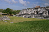 Canon EOS DIGITAL REBEL, 2008:01:01 11:13:21 -- 1/200 sec, f/8.0.  No Flash.3072x2048 Off.