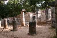 Canon EOS DIGITAL REBEL, 2008:01:02 10:48:46 -- 1/60 sec, f/5.0.  No Flash.3072x2048 Off.