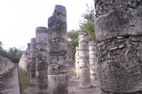 Canon EOS DIGITAL REBEL, 2008:01:02 11:16:12 -- 1/125 sec, f/6.3.  No Flash.3072x2048 Off.