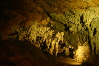 Canon EOS DIGITAL REBEL, 2008:01:04 18:08:04 -- 1.6 sec, f/3.5.  No Flash.3072x2048 Off.