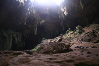 Canon EOS DIGITAL REBEL, 2008:01:04 18:14:19 -- 1.6 sec, f/3.5.  No Flash.3072x2048 Off.