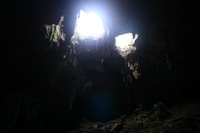 Canon EOS DIGITAL REBEL, 2008:01:04 18:15:59 -- 1/4 sec, f/3.5.  No Flash.3072x2048 Off.