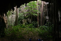 Canon EOS DIGITAL REBEL, 2008:01:04 18:29:05 -- 1/2 sec, f/4.5.  No Flash.3072x2048 Off.