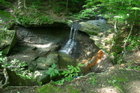 Canon EOS DIGITAL REBEL, 2008:07:01 09:14:33 -- 1/40 sec, f/4.0.  No Flash.3072x2048 Off.