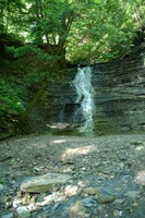 Canon EOS DIGITAL REBEL, 2008:07:01 09:35:52 -- 1/50 sec, f/4.0.  No Flash.3072x2048 Off.