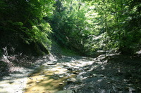 Canon EOS DIGITAL REBEL, 2008:07:01 09:36:08 -- 1/80 sec, f/5.6.  No Flash.3072x2048 Off.