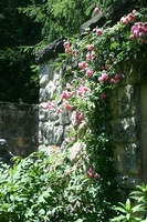 Canon EOS DIGITAL REBEL, 2008:07:01 13:13:55 -- 1/200 sec, f/11.0.  No Flash.3072x2048 Off.