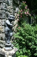 Canon EOS DIGITAL REBEL, 2008:07:01 13:14:16 -- 1/320 sec, f/10.0.  No Flash.3072x2048 Off.