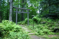 Canon EOS DIGITAL REBEL, 2008:07:01 13:34:13 -- 1/30 sec, f/3.5.  No Flash.3072x2048 Off.