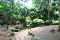 Canon EOS DIGITAL REBEL, 2008:07:01 13:34:51 -- 1/10 sec, f/3.5.  No Flash.3072x2048 Off.