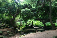 Canon EOS DIGITAL REBEL, 2008:07:01 13:34:57 -- 1/10 sec, f/4.5.  No Flash.3072x2048 Off.