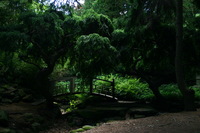 Canon EOS DIGITAL REBEL, 2008:07:01 13:35:12 -- 1/40 sec, f/4.5.  No Flash.3072x2048 Off.