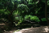 Canon EOS DIGITAL REBEL, 2008:07:01 13:35:24 -- 1/30 sec, f/4.5.  No Flash.3072x2048 Off.