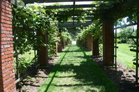 Canon EOS DIGITAL REBEL, 2008:07:01 13:41:58 -- 1/100 sec, f/6.3.  No Flash.3072x2048 Off.