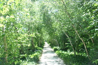 Canon EOS DIGITAL REBEL, 2008:07:01 13:42:02 -- 1/60 sec, f/5.0.  No Flash.3072x2048 Off.