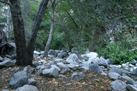 Canon EOS DIGITAL REBEL, 2008:12:23 19:45:43 -- 1/40 sec, f/4.0.  No Flash.3072x2048 Off.