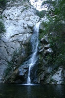 Canon EOS DIGITAL REBEL, 2008:12:23 19:45:50 -- 1/80 sec, f/5.0.  No Flash.3072x2048 Off.