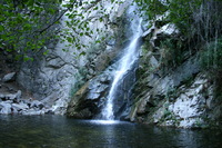 Canon EOS DIGITAL REBEL, 2008:12:23 19:47:35 -- 1/50 sec, f/4.5.  No Flash.3072x2048 Off.