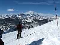 Canon PowerShot A590 IS, 2008:12:27 16:22:34 -- 1/1000 sec, f/5.6.  No Flash, Compulsory.3264x2448 Off.