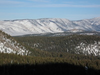 Canon PowerShot A590 IS, 2008:12:27 19:28:49 -- 1/800 sec, f/5.5.  No Flash, Compulsory.3264x2448 Off.