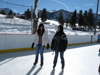 Canon PowerShot A590 IS, 2008:12:28 16:33:48 -- 1/1000 sec, f/5.6.  No Flash, Compulsory.3264x2448 Off.