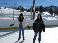 Canon PowerShot A590 IS, 2008:12:28 16:33:50 -- 1/1000 sec, f/5.6.  No Flash, Compulsory.3264x2448 Off.