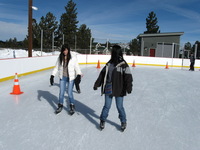 Canon PowerShot A590 IS, 2008:12:28 16:34:26 -- 1/1000 sec, f/5.6.  No Flash, Compulsory.3264x2448 Off.