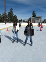 Canon PowerShot A590 IS, 2008:12:28 16:34:32 -- 1/1000 sec, f/6.3.  No Flash, Compulsory.3264x2448 Off.