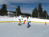 Canon PowerShot A590 IS, 2008:12:28 16:46:29 -- 1/1000 sec, f/6.3.  No Flash, Compulsory.3264x2448 Off.