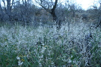 Canon EOS DIGITAL REBEL, 2009:04:06 21:36:35 -- 1/80 sec, f/5.6.  No Flash.3072x2048 Off.