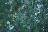 Canon EOS DIGITAL REBEL, 2009:04:06 21:36:56 -- 1/60 sec, f/5.6.  No Flash.3072x2048 Off.