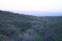 Canon EOS DIGITAL REBEL, 2009:04:06 21:41:58 -- 1/100 sec, f/7.1.  No Flash.3072x2048 Off.